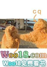 爱情买卖